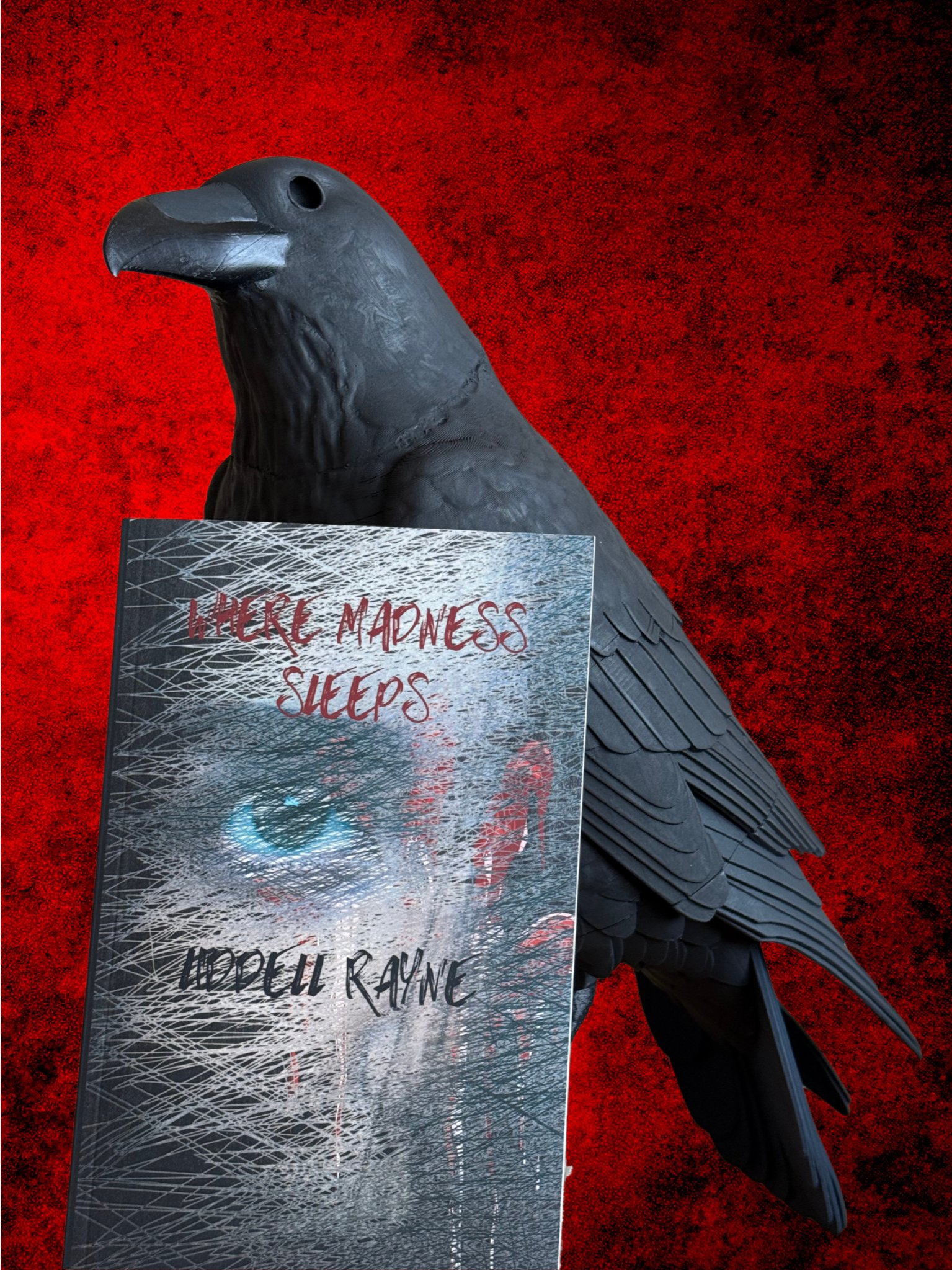 Signed paperback copy of Where Madness Sleeps w/Ebook version product image (4)