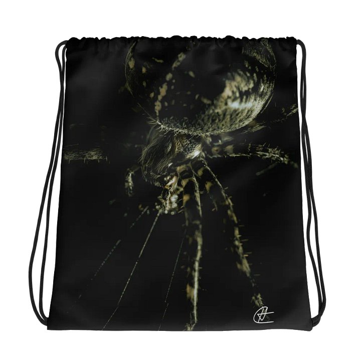 Orb Weaver Drawstring Bag product image (1)