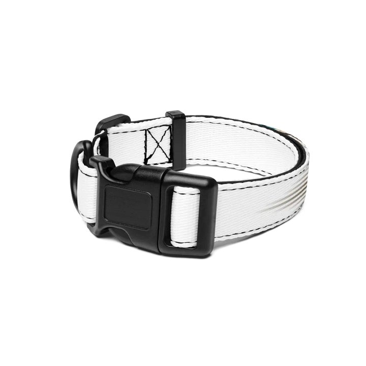 Pet Collar Cute.CunFashion.com product image (1)