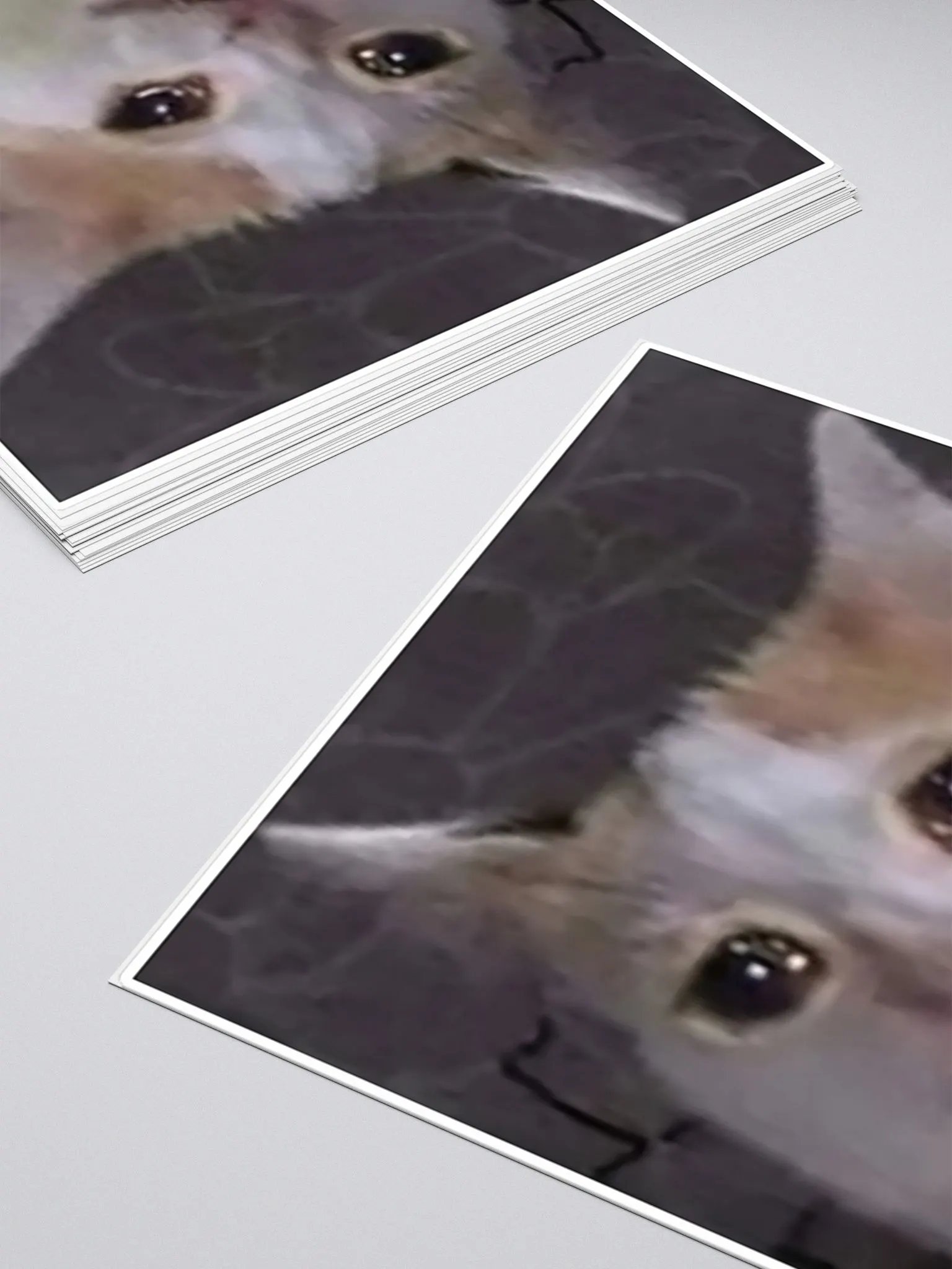 Kiss Cut Stickers: Meme Cats product image (4)