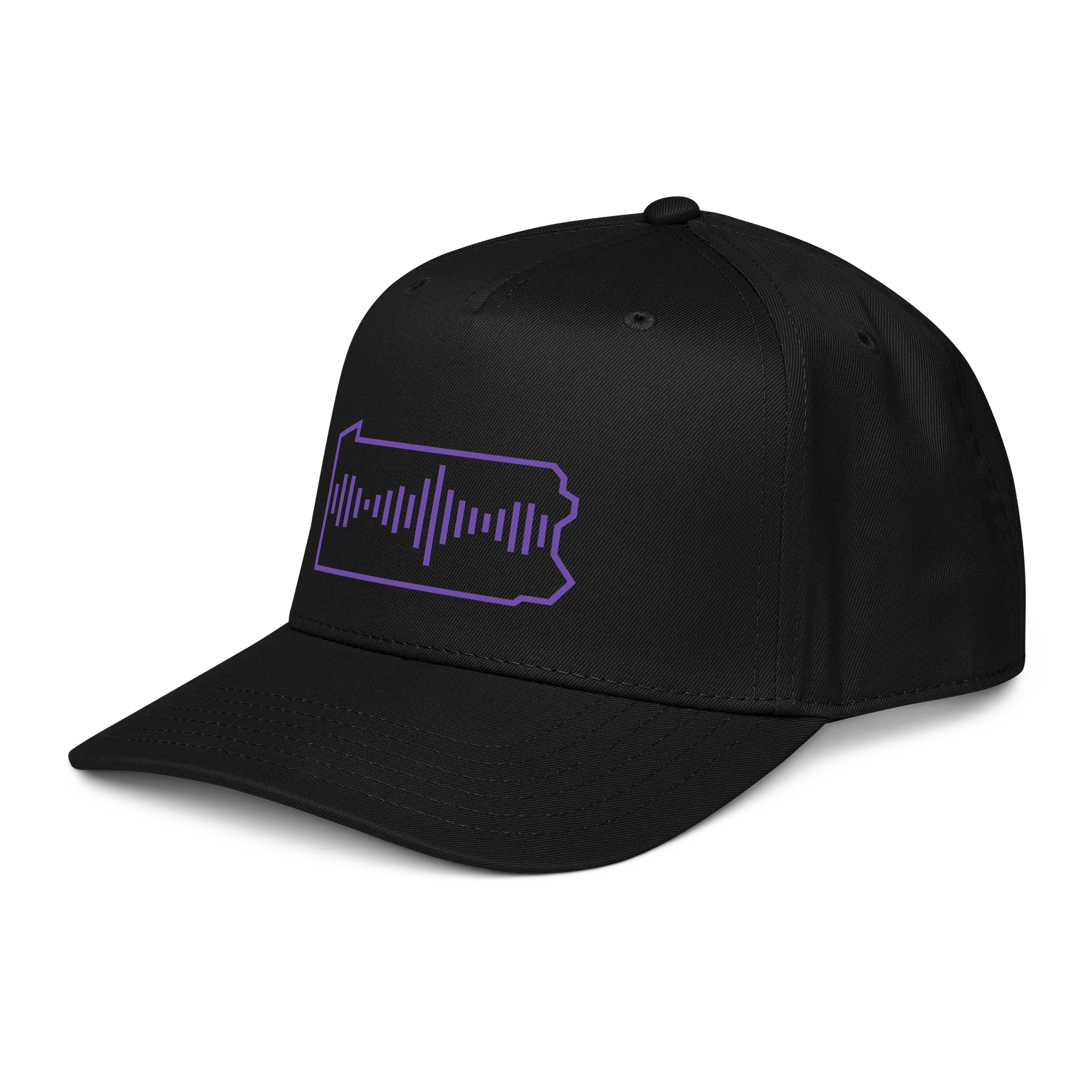 StreamPA Snapback product image (4)
