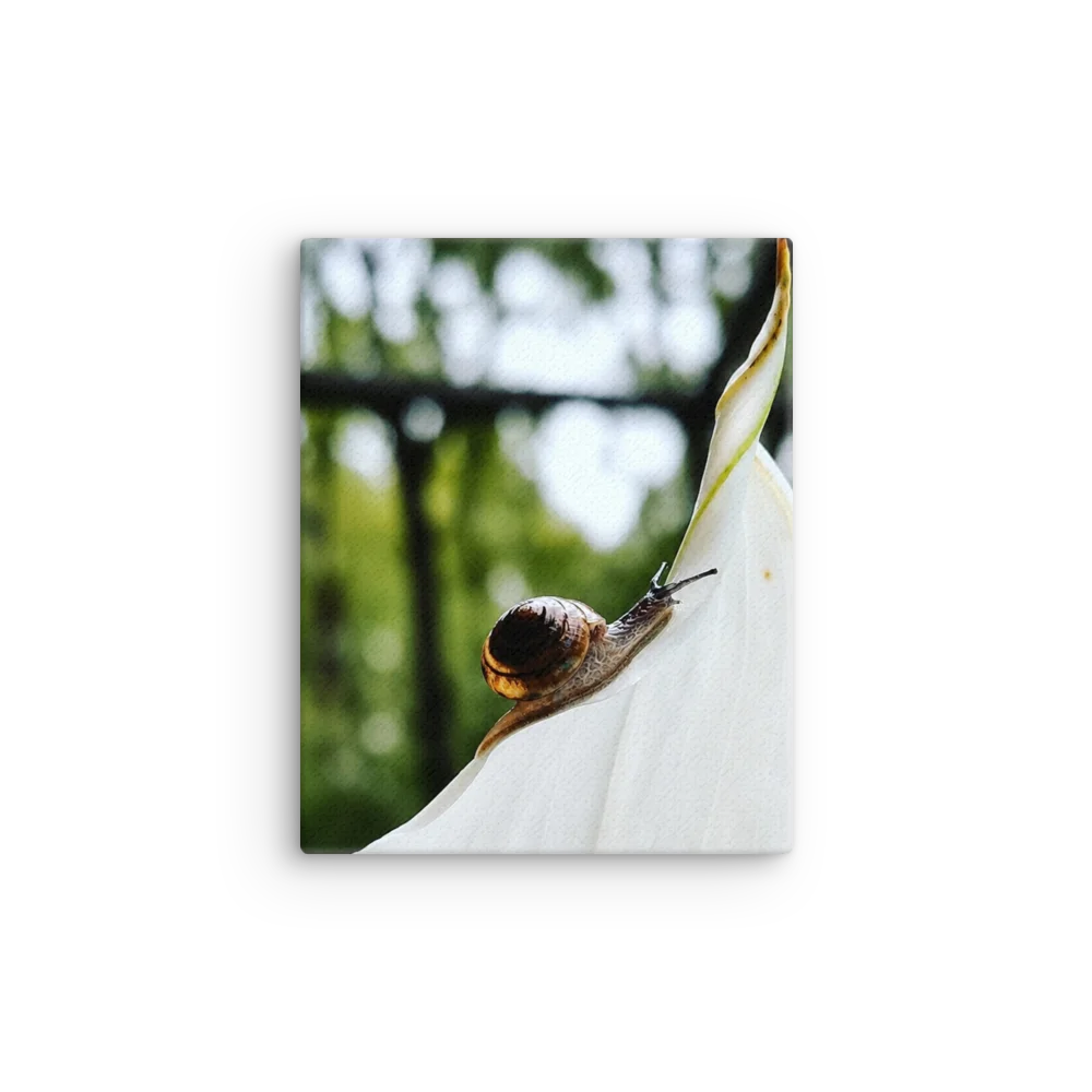 Snail on White Petal Canvas product image (12)