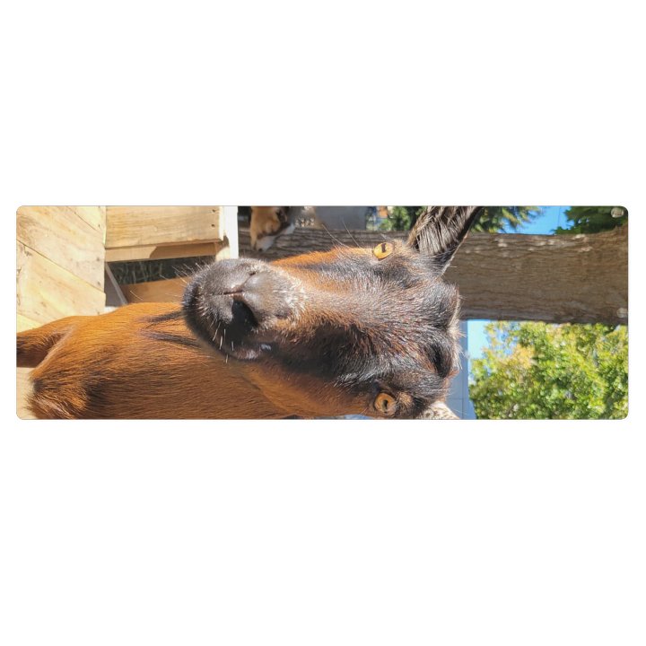 Goat yoga mat product image (1)