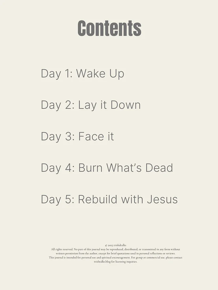 Faith Reset: Burn the Religion & Rebuild the Fire product image (2)