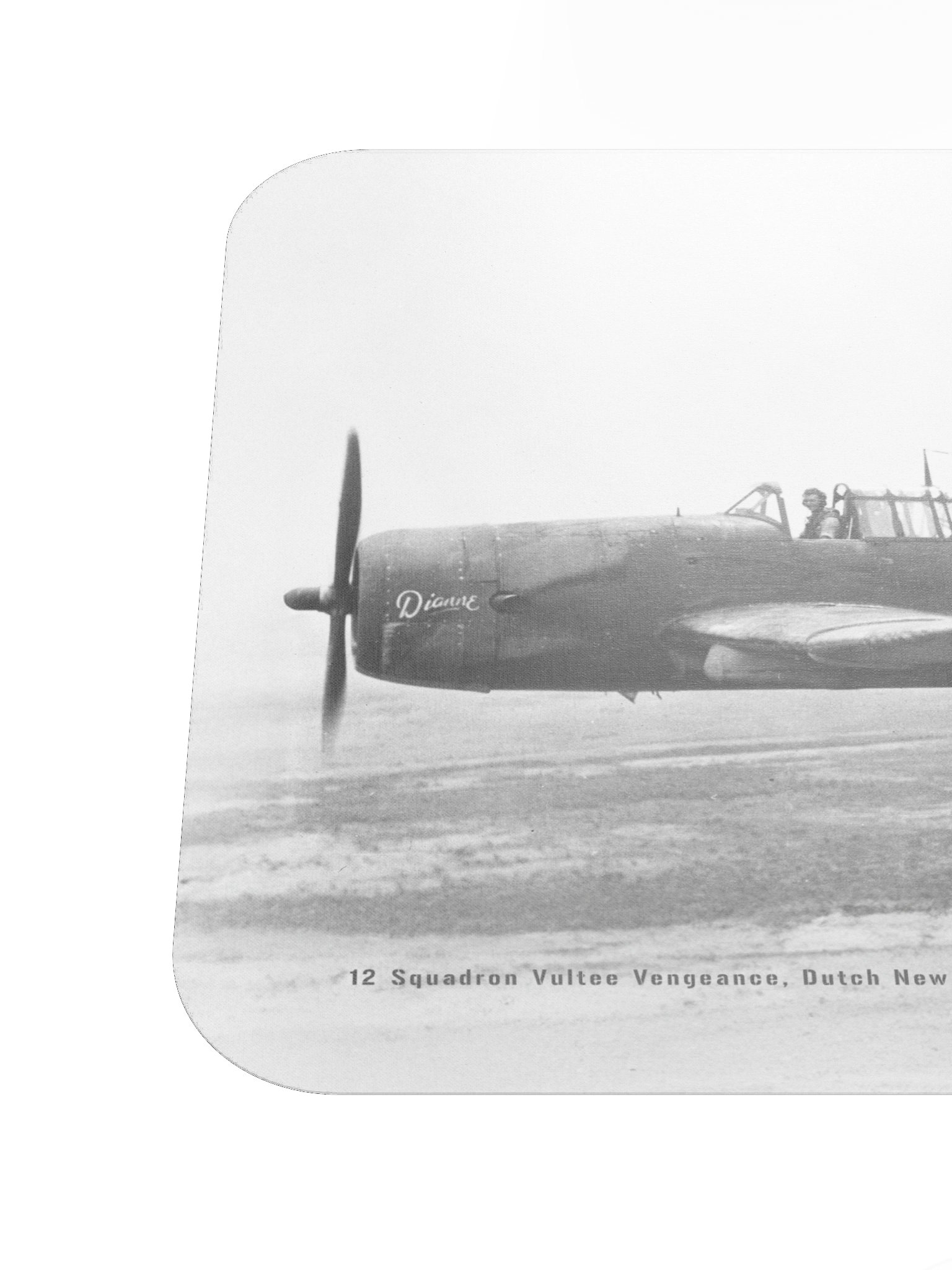 Vultee Vengeance "Dianne" product image (6)