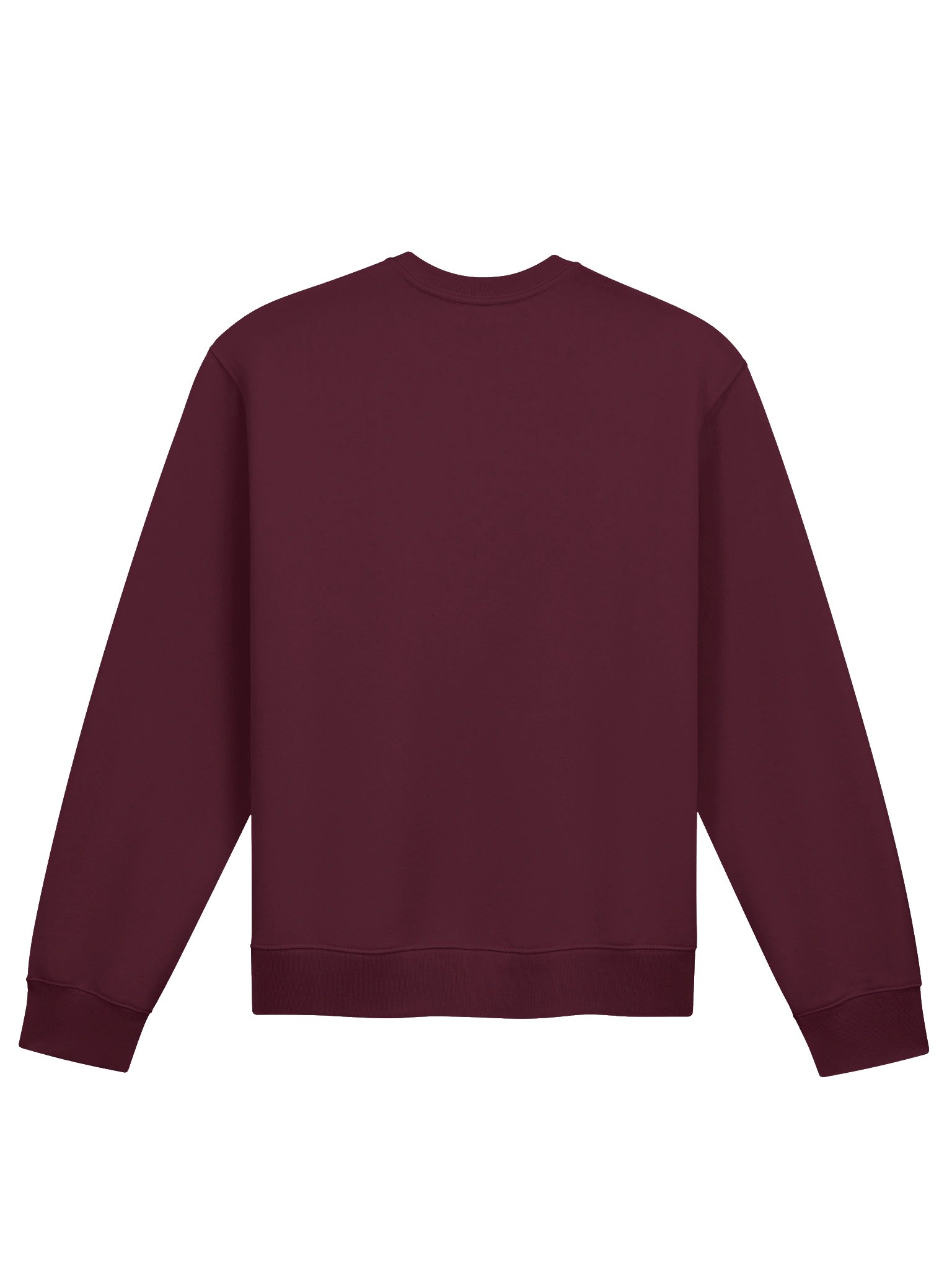Ryushindo Sweatshirt product image (2)