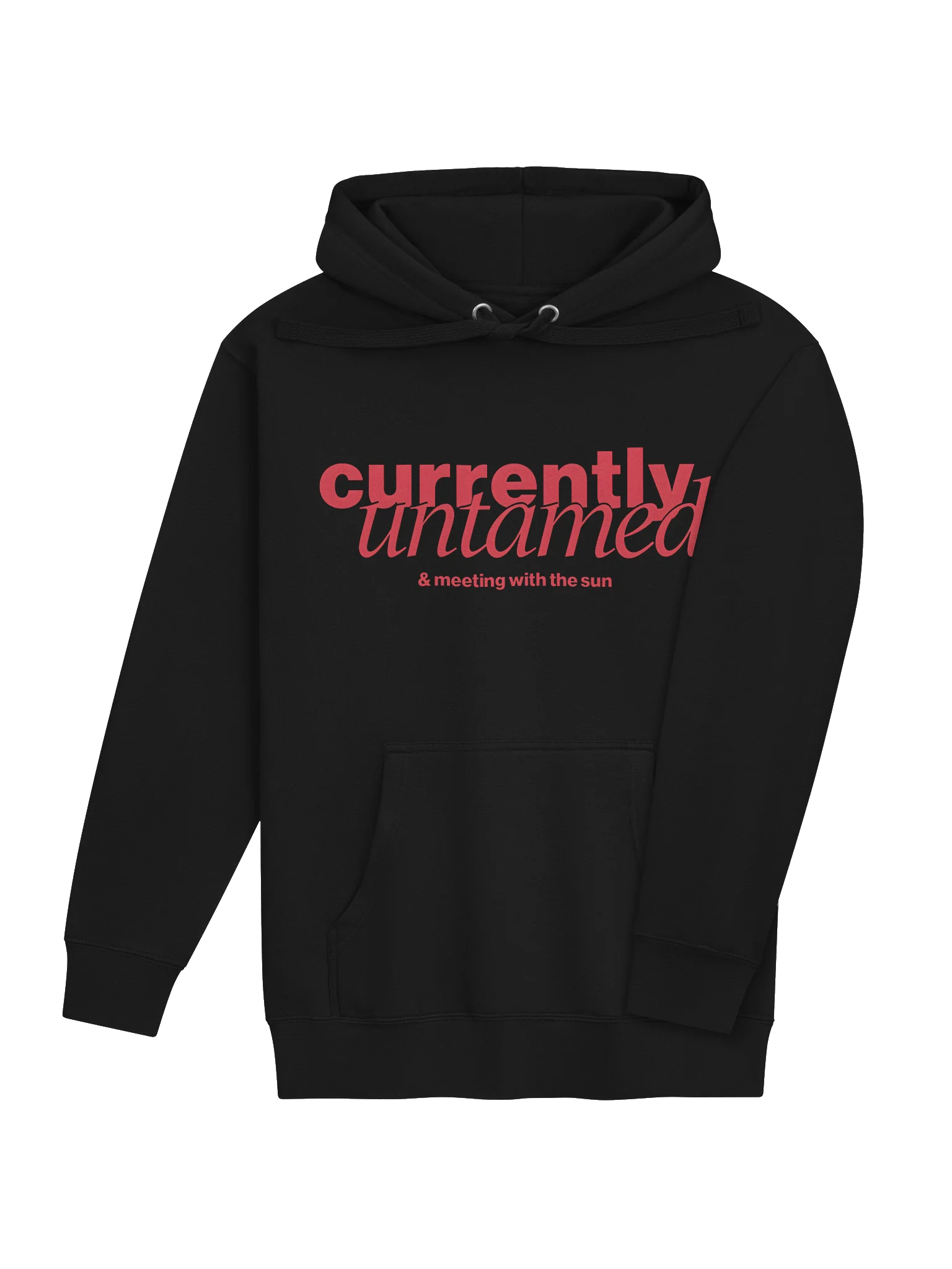 Currently Untamed Hoodie product image (14)