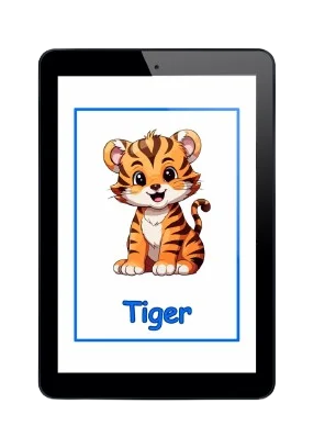 Digital Flashcards Bundle product image (4)
