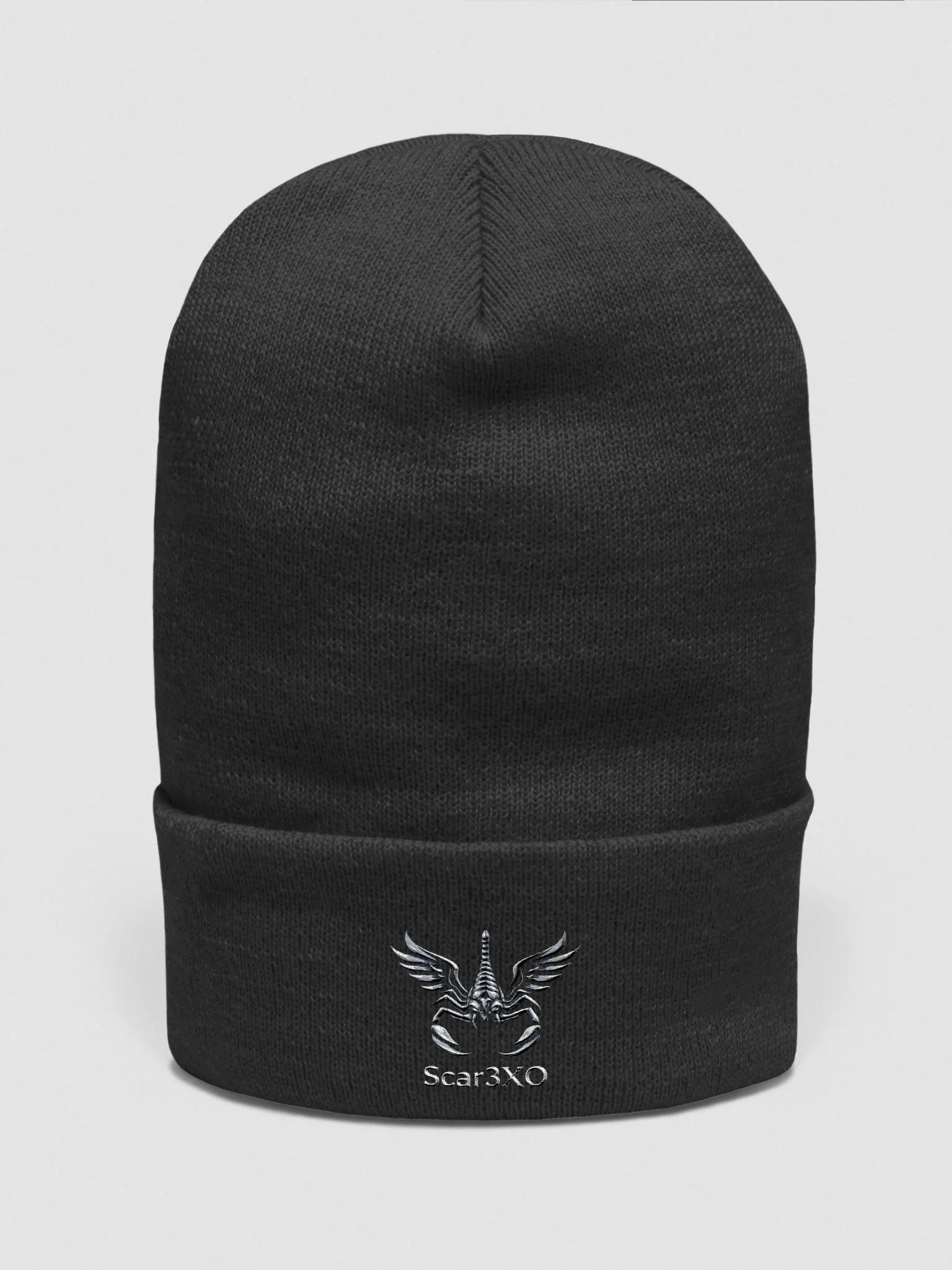 Logo '25 Beanie product image (1)