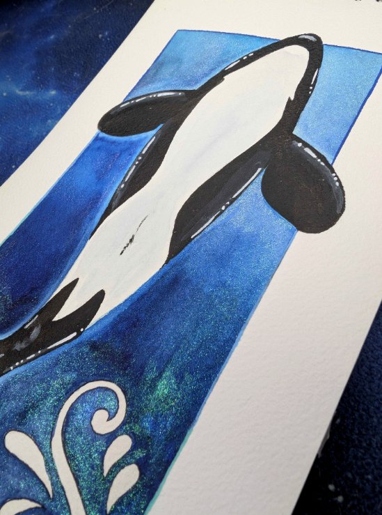 Orca Underside product image (2)