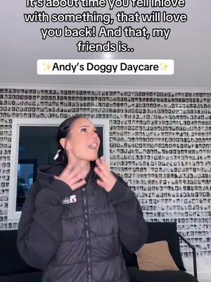 Is Andy’s Doggy Daycare 🐾  #doggydaycare #dogownersoftiktok #dogsoftiktok 