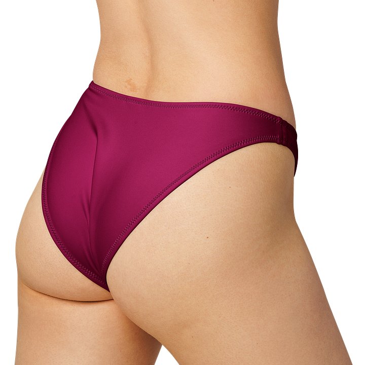 Sun-Kissed Confidence V-Cut Bikini Bottom product image (1)