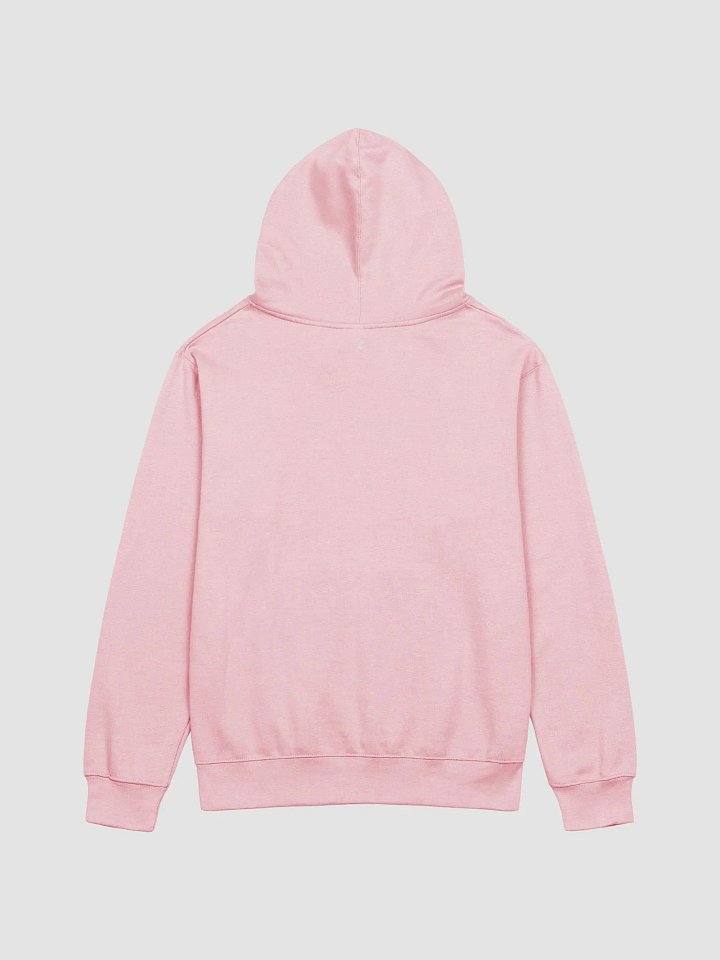 Casual Fit Midweight Hoodie product image (11)