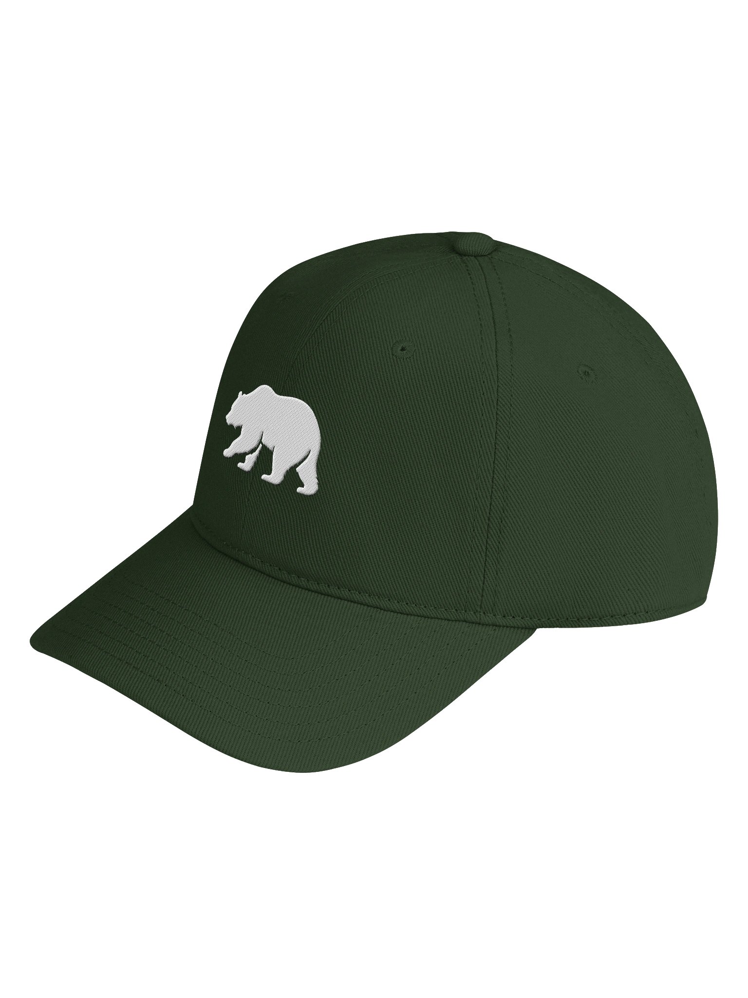 Low Profile Cap product image (3)