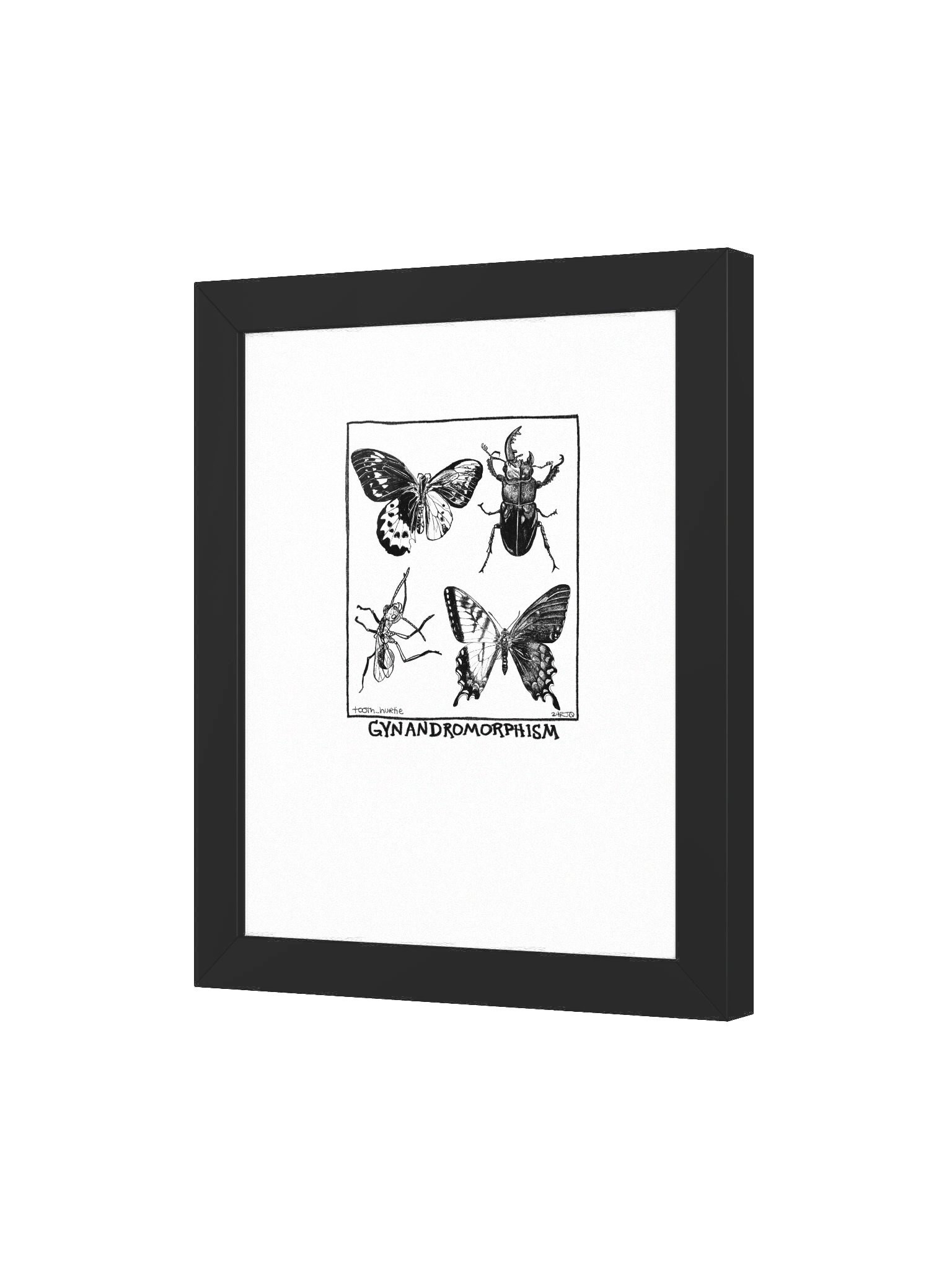 FRAMED GYNANDROMORPHISM PRINT product image (9)