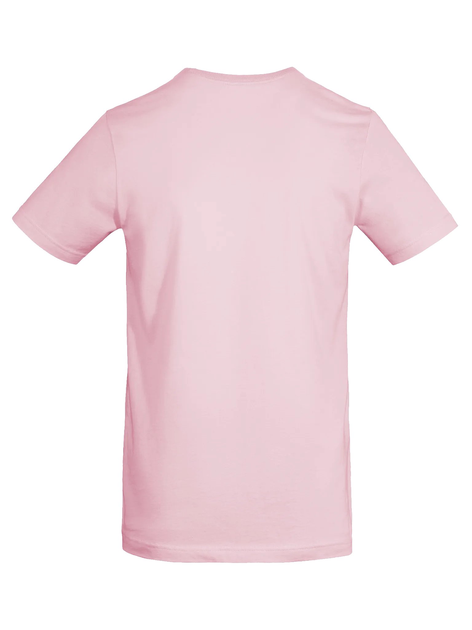 I'm the Whole Vibe T-Shirt product image (23)
