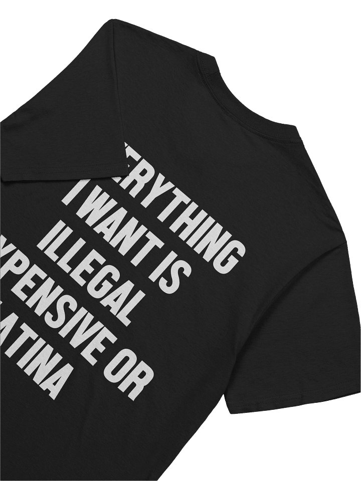 Everything I Want Is Illegal Expensive or Latina Funny Graphic T-Shirt product image (2)
