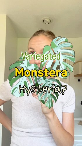 Were you a part of this story?! 

Full story available on Ep. 191 of the Plant School Podcast, available on any major podcast...