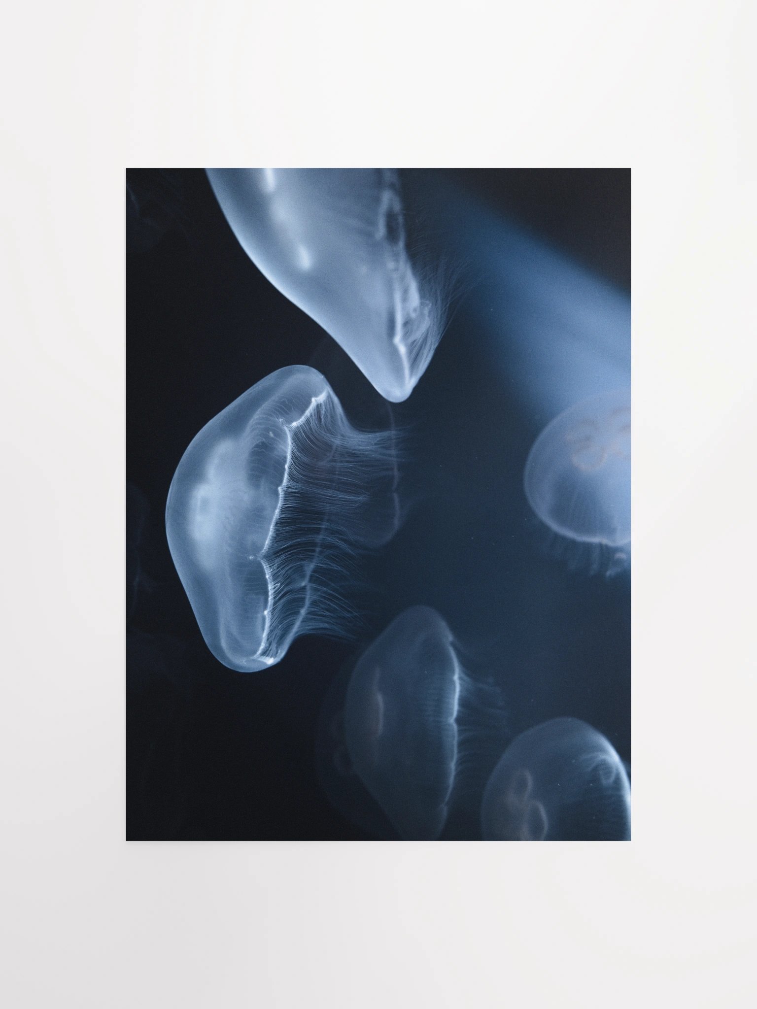 SILENT GLOW - Limited Edition Fine Art Print product image (1)