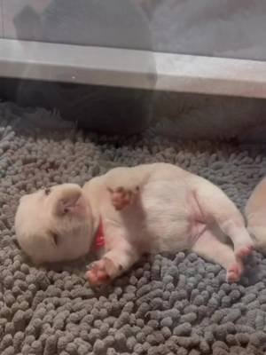 awww