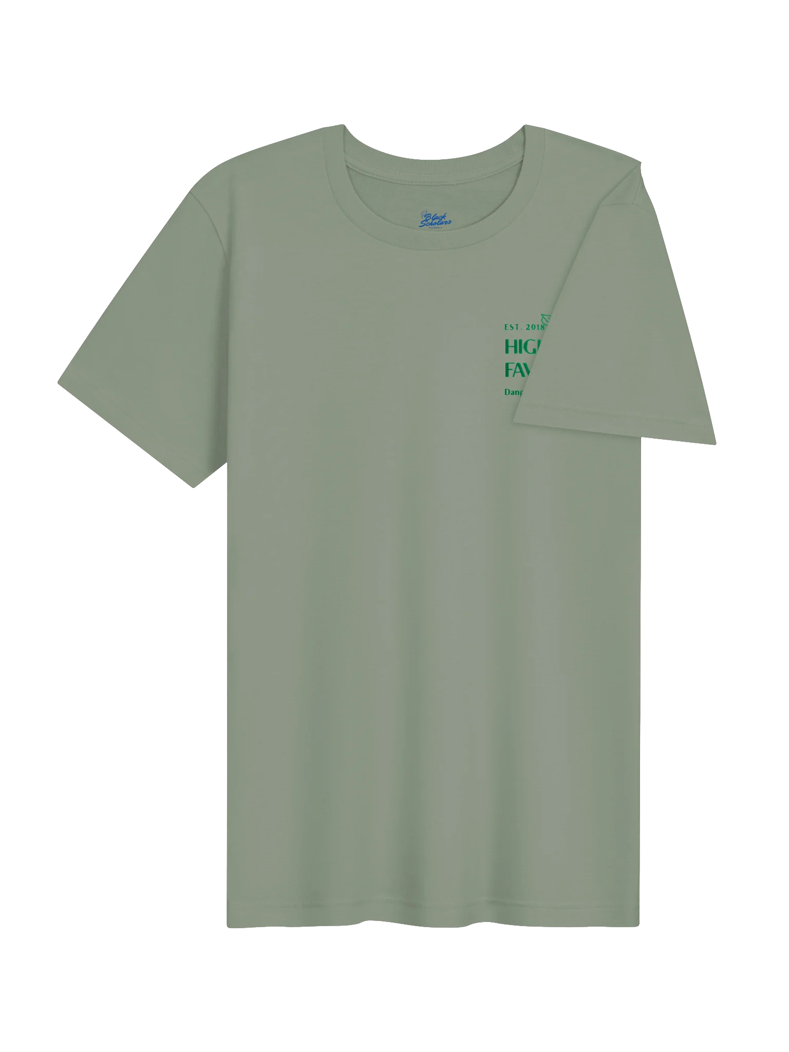 Highly Favored. Dangerously literate. Green tee. product image (4)