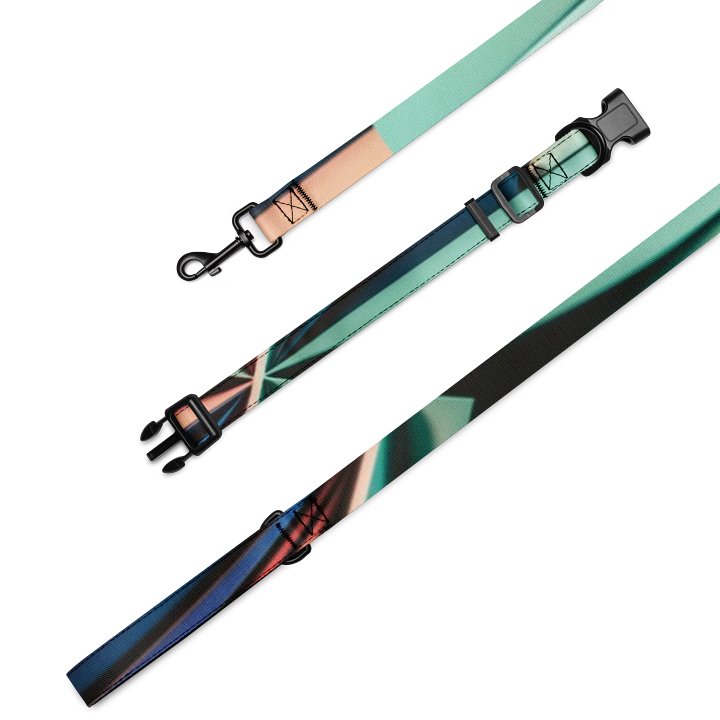 Gradient Colour Pet Collar and Leash Set - Stylish and Durable product image (2)