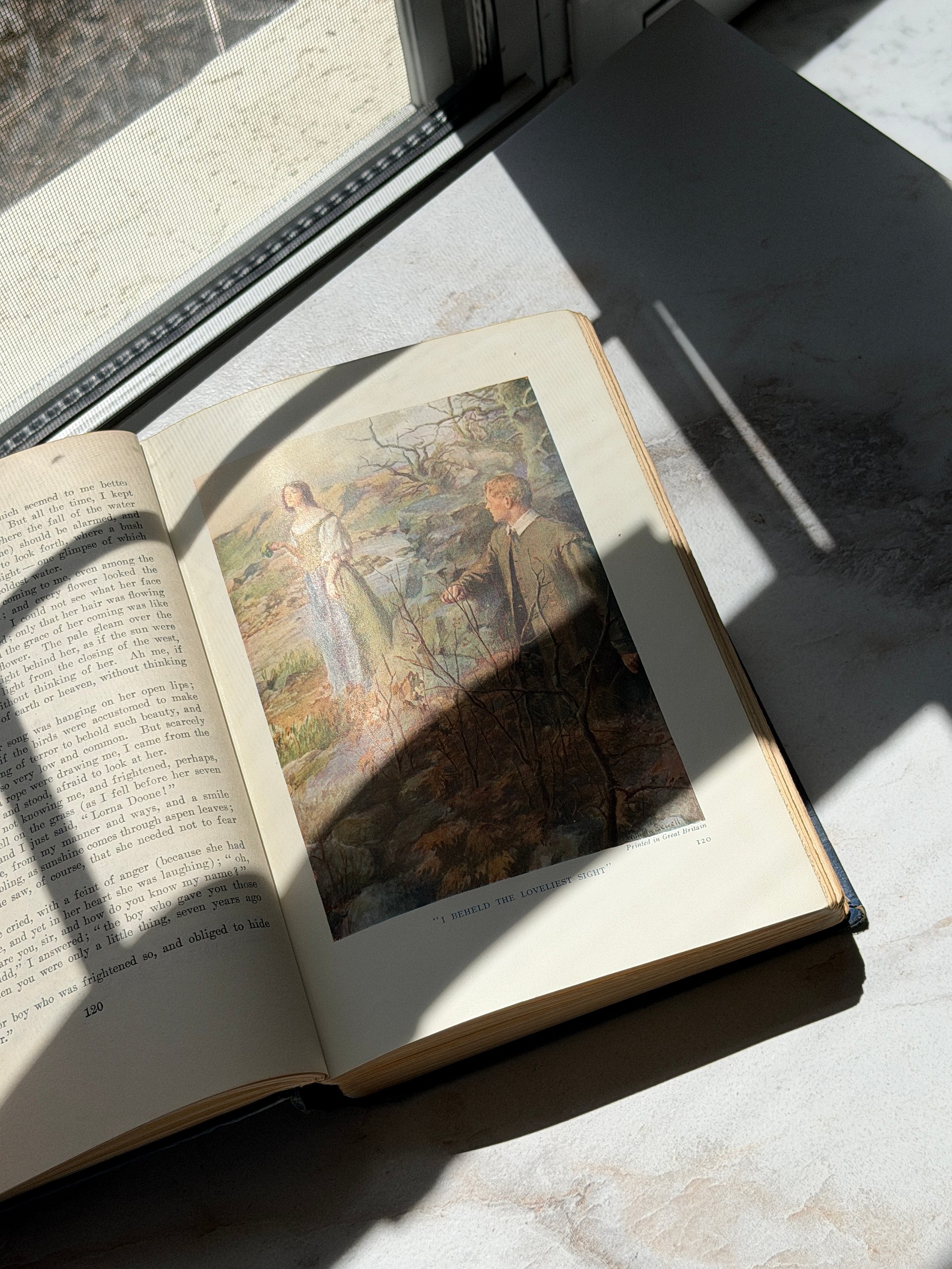 1931 | Lorna Doone by R. D. Blackmore | Dodd Mead Illustrated Hardcover | 16 Color Plates product image (8)