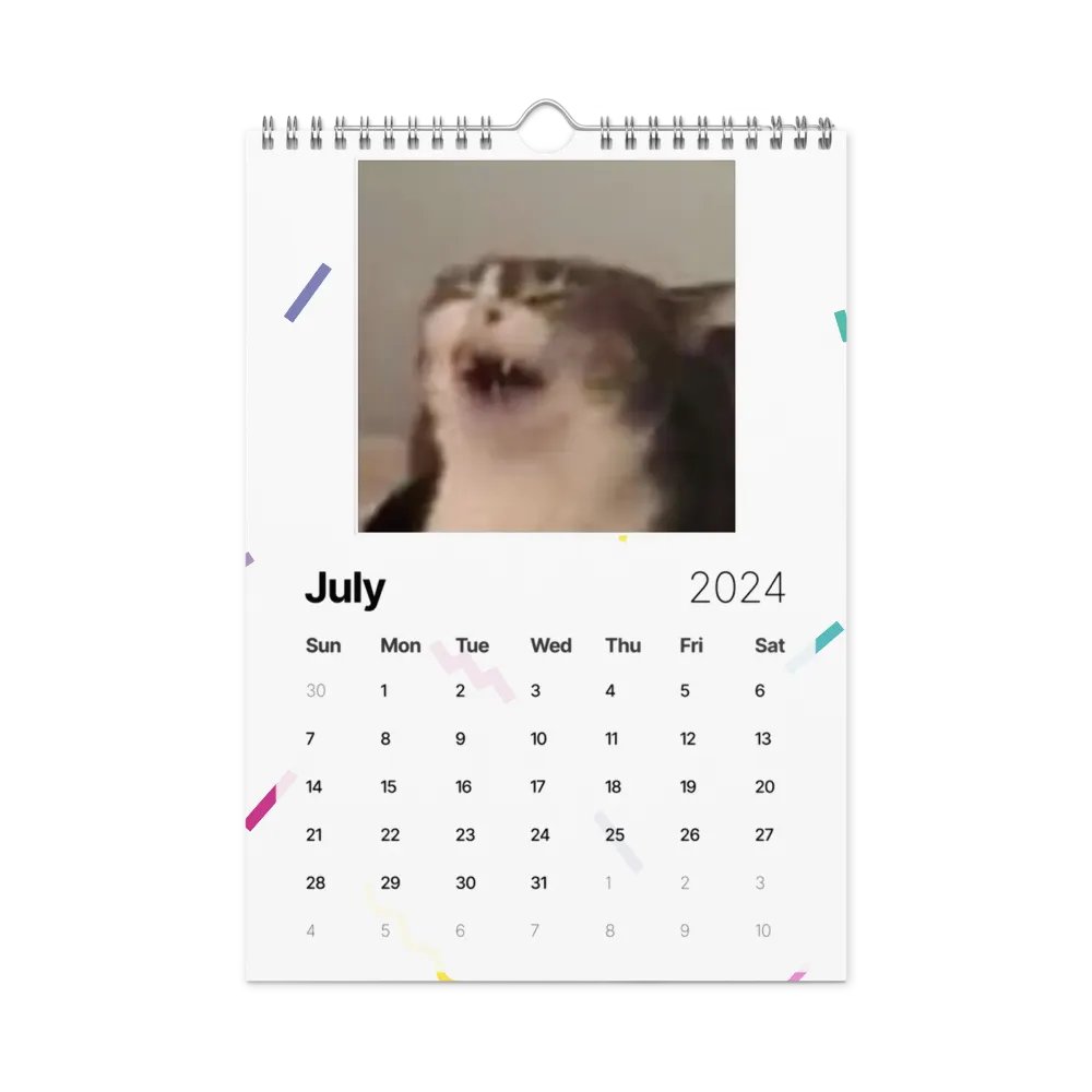 Wall Calendar (2024): Meme Cats product image (10)