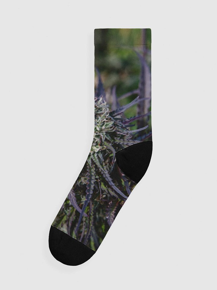 Royal Purple Cultivated Socks product image (1)