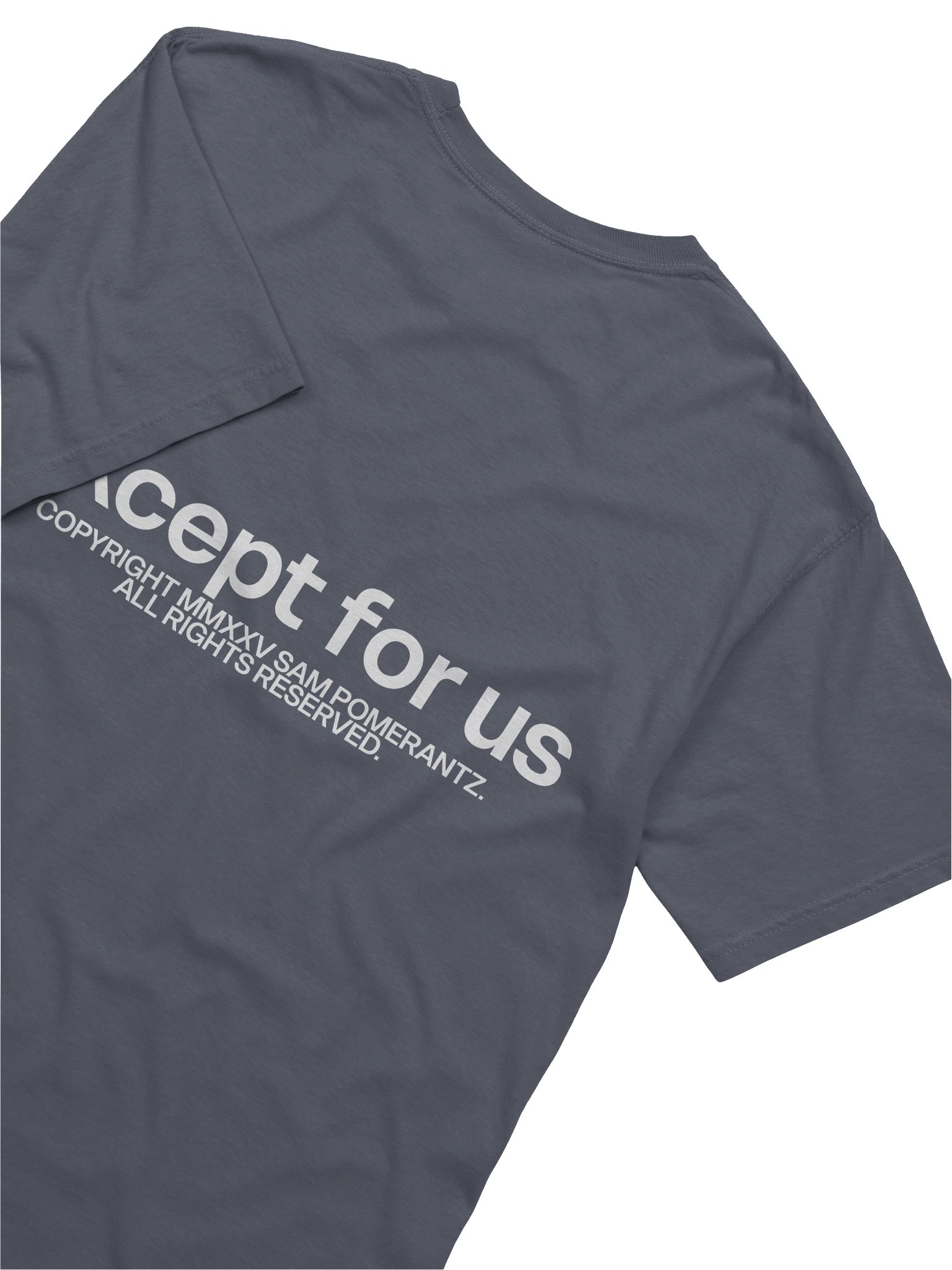 Except For Us Threshold Tee 2 product image (4)