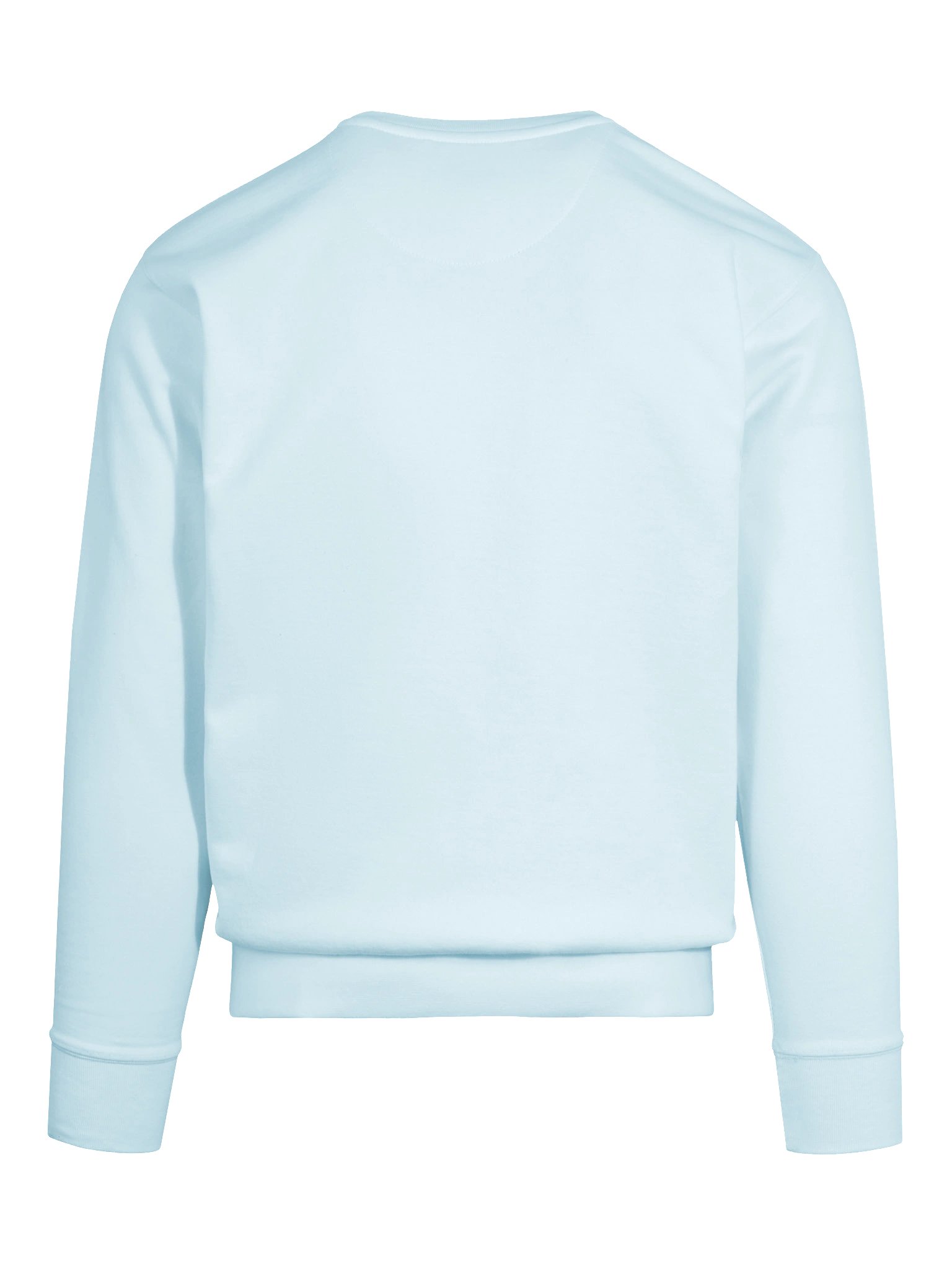 Where Every Day is a New Day Sweatshirt - Cotton Heritage product image (11)