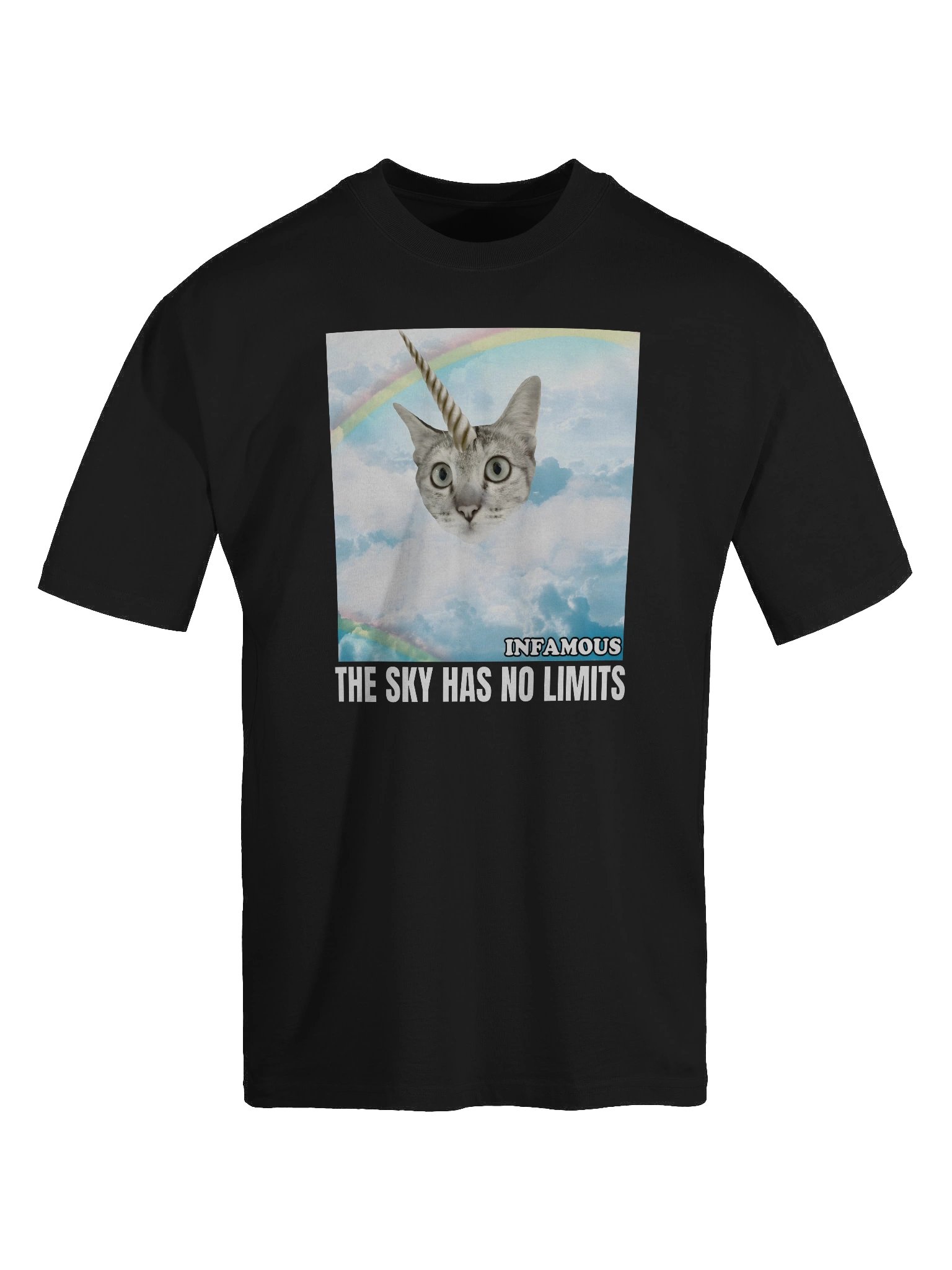 The Sky Has No Limits Oversized Tee - BLACK product image (6)