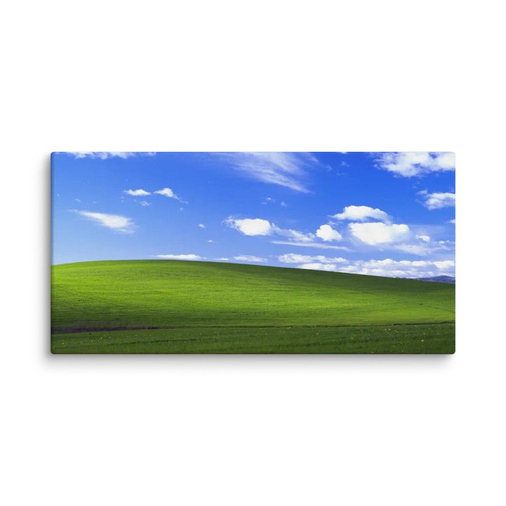 bliss canvas product image (2)
