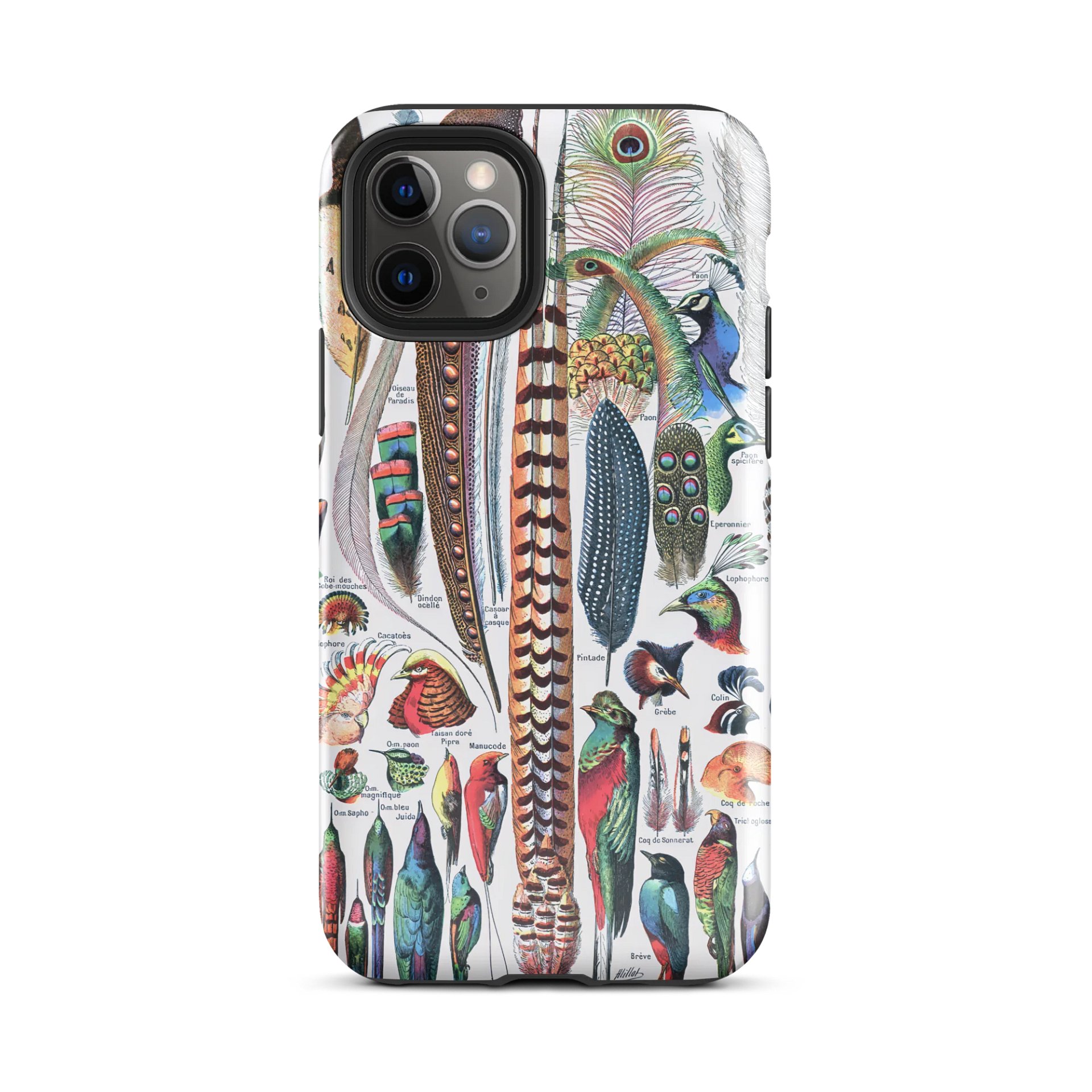 Feathers of Diversity iPhone® Tough Case - Plumes by Adolphe Millot product image (2)