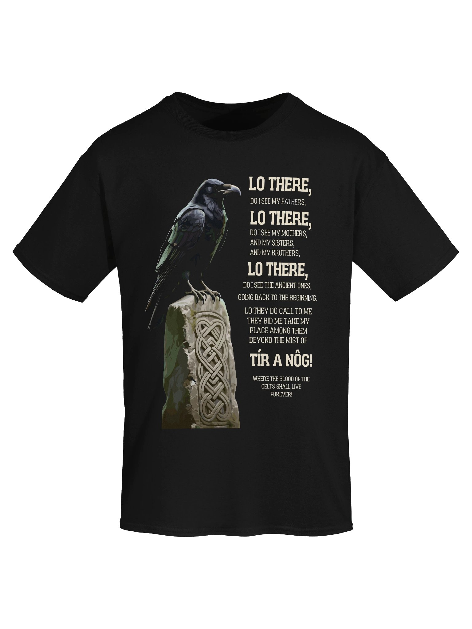Tír A Nóg Celtic Raven Graphic Tee product image (5)