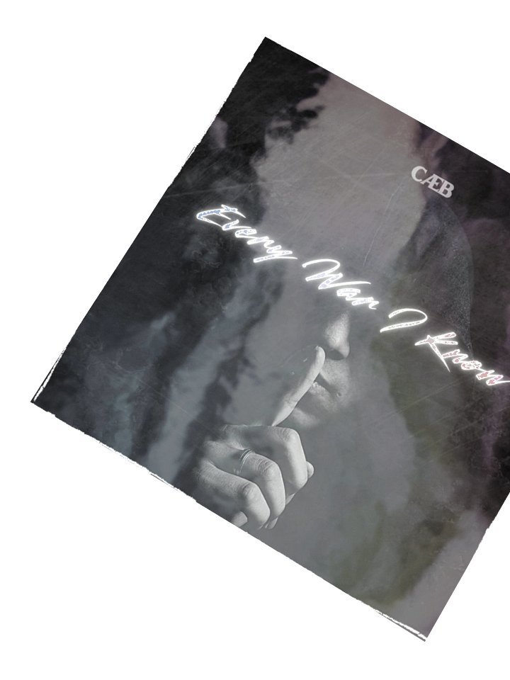 CAEB "Every War I Know" Holographic Sticker Sheet product image (6)