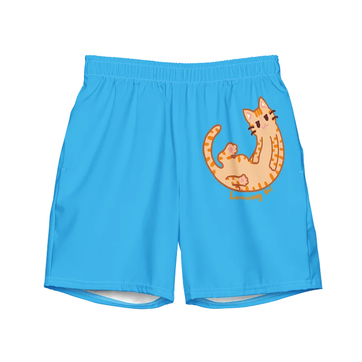 Looooong Boi Swim Shorts product image (1)