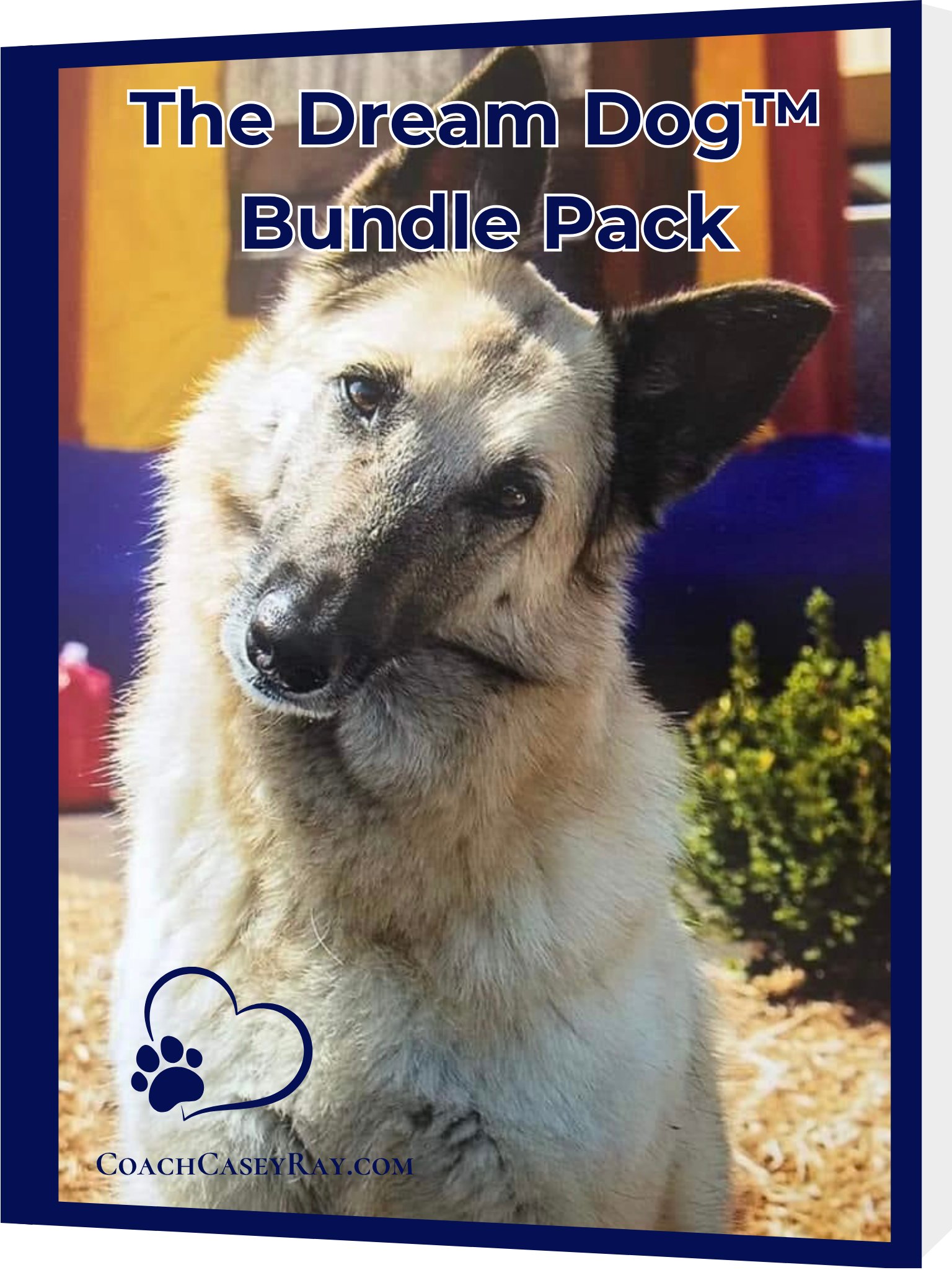 Coach Casey's Dream Dog™ Bundle product image (1)