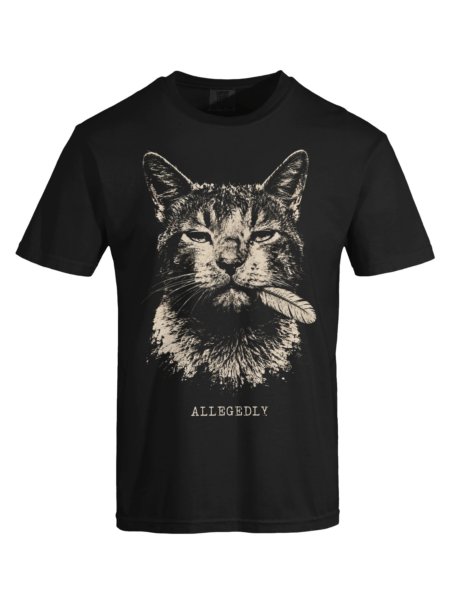 Allegedly Cat Heavyweight Graphic Tee product image (5)