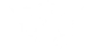 Elnari
