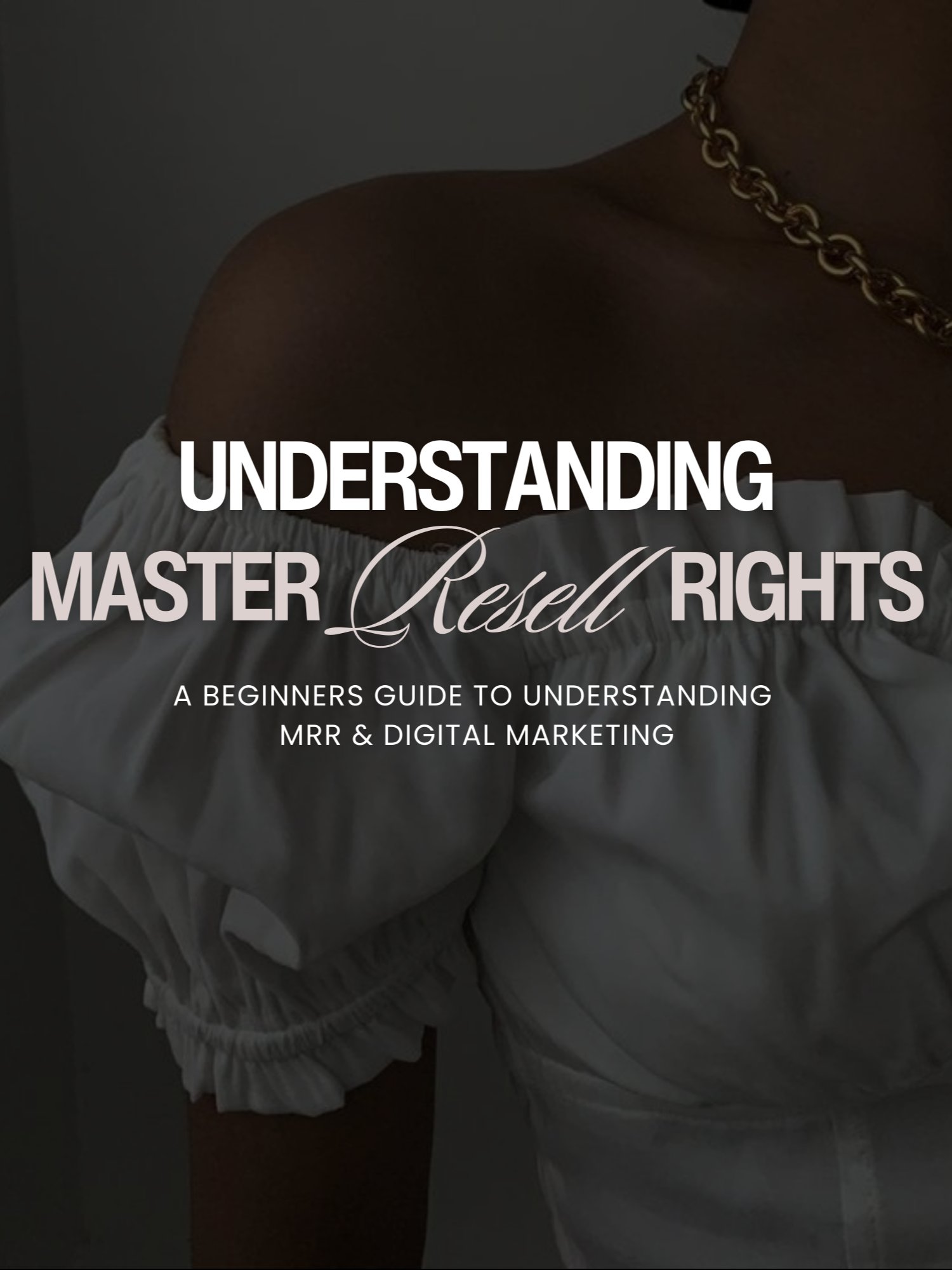 Understanding Master Resell Rights product image (1)