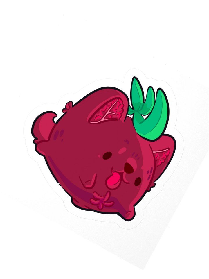 Pomeranian product image (2)