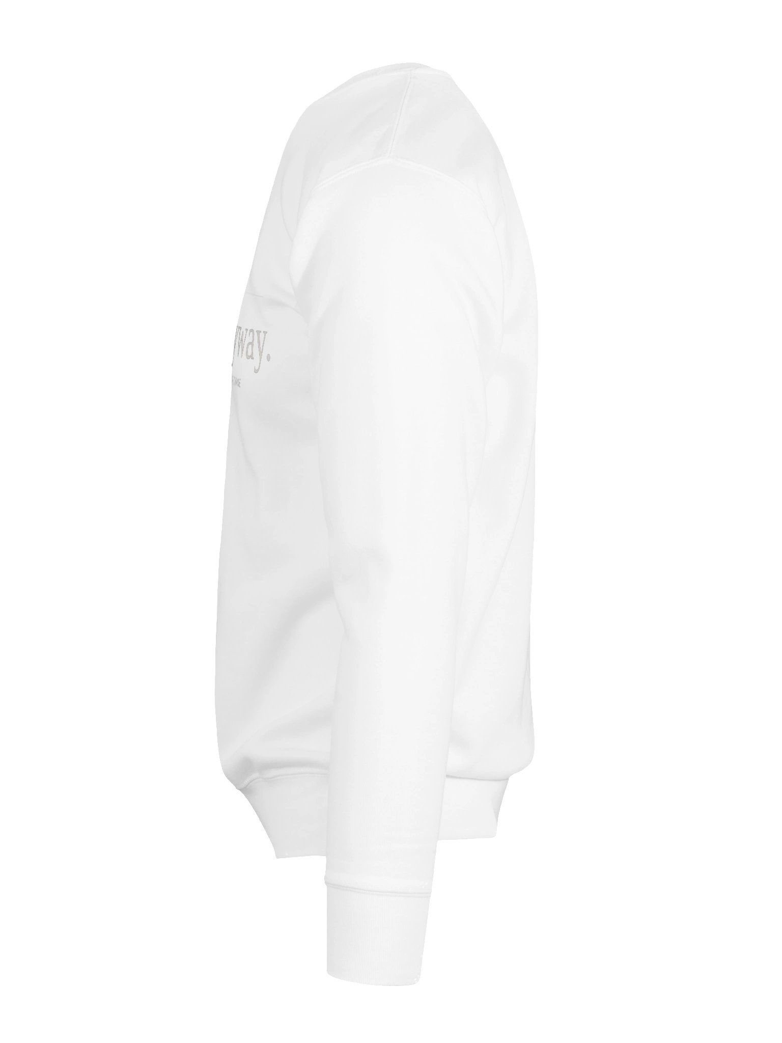 Build Anyways - They Said It Couldn't Be Done product image (5)