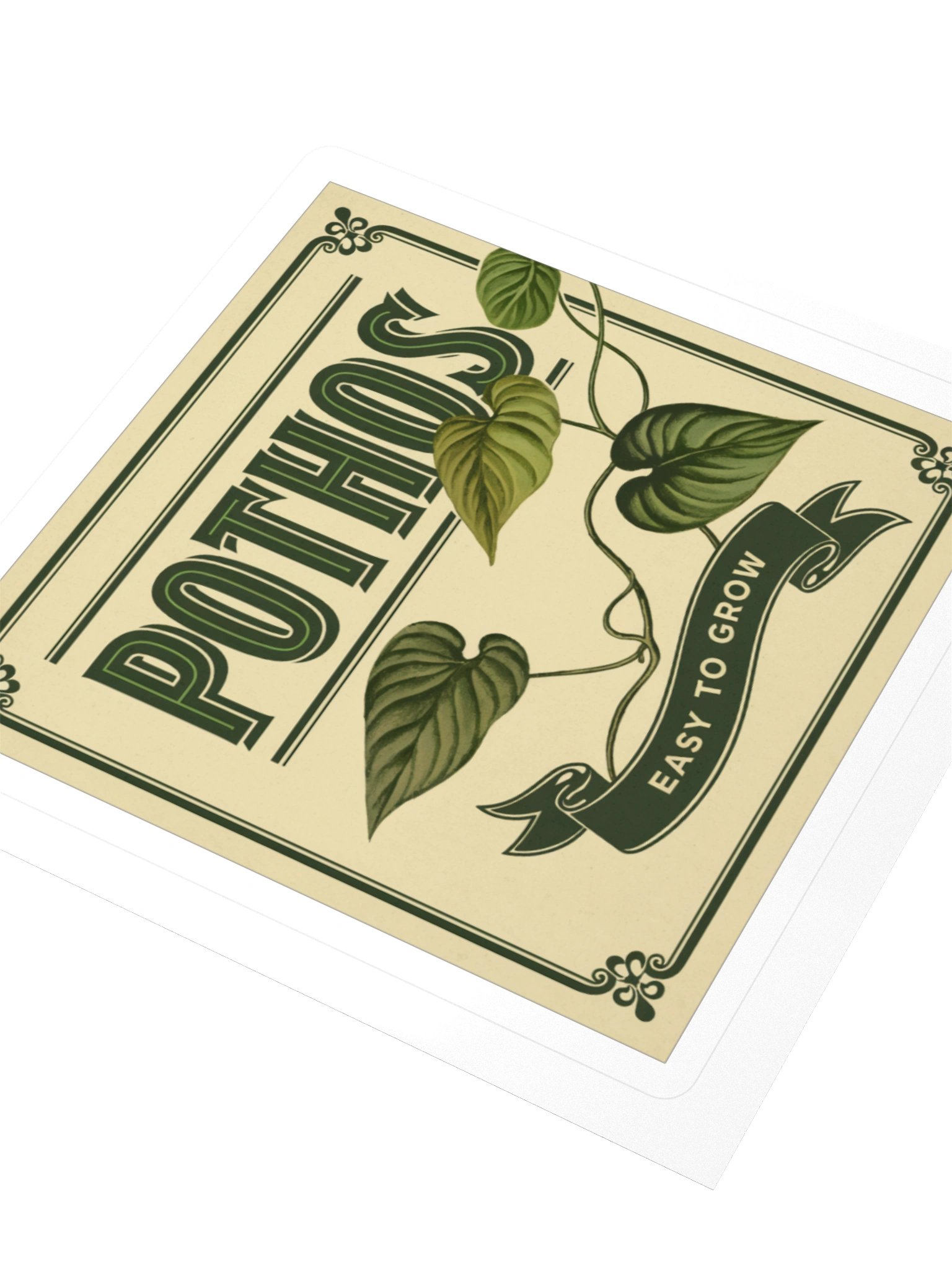 Vintage Seed Packet — Sticker product image (3)