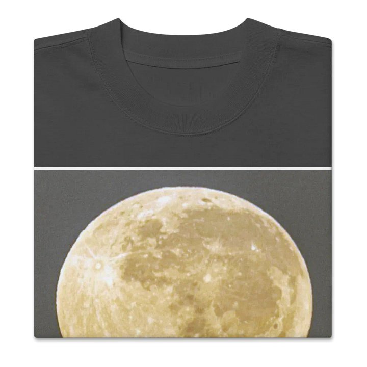 Christ the Redeemer Holding the Moon product image (2)