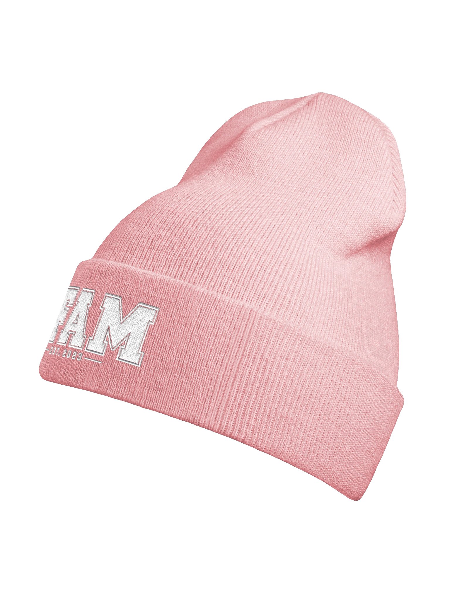 JFAM VARSITY BEANIE product image (87)