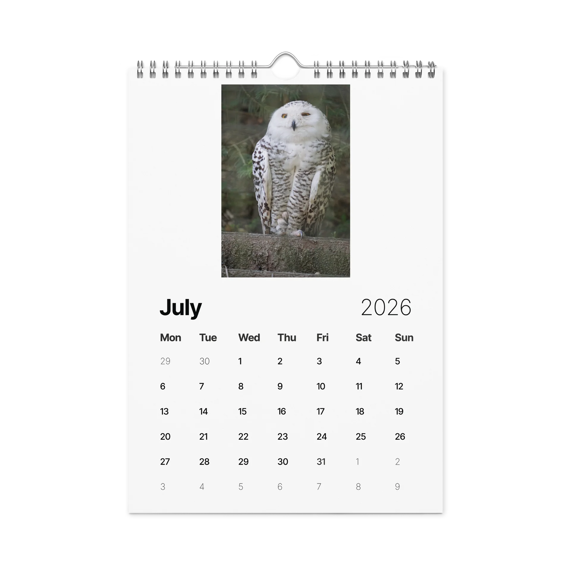 One Year, Twelve Animals: ESE 2026 Wall Calendar product image (7)