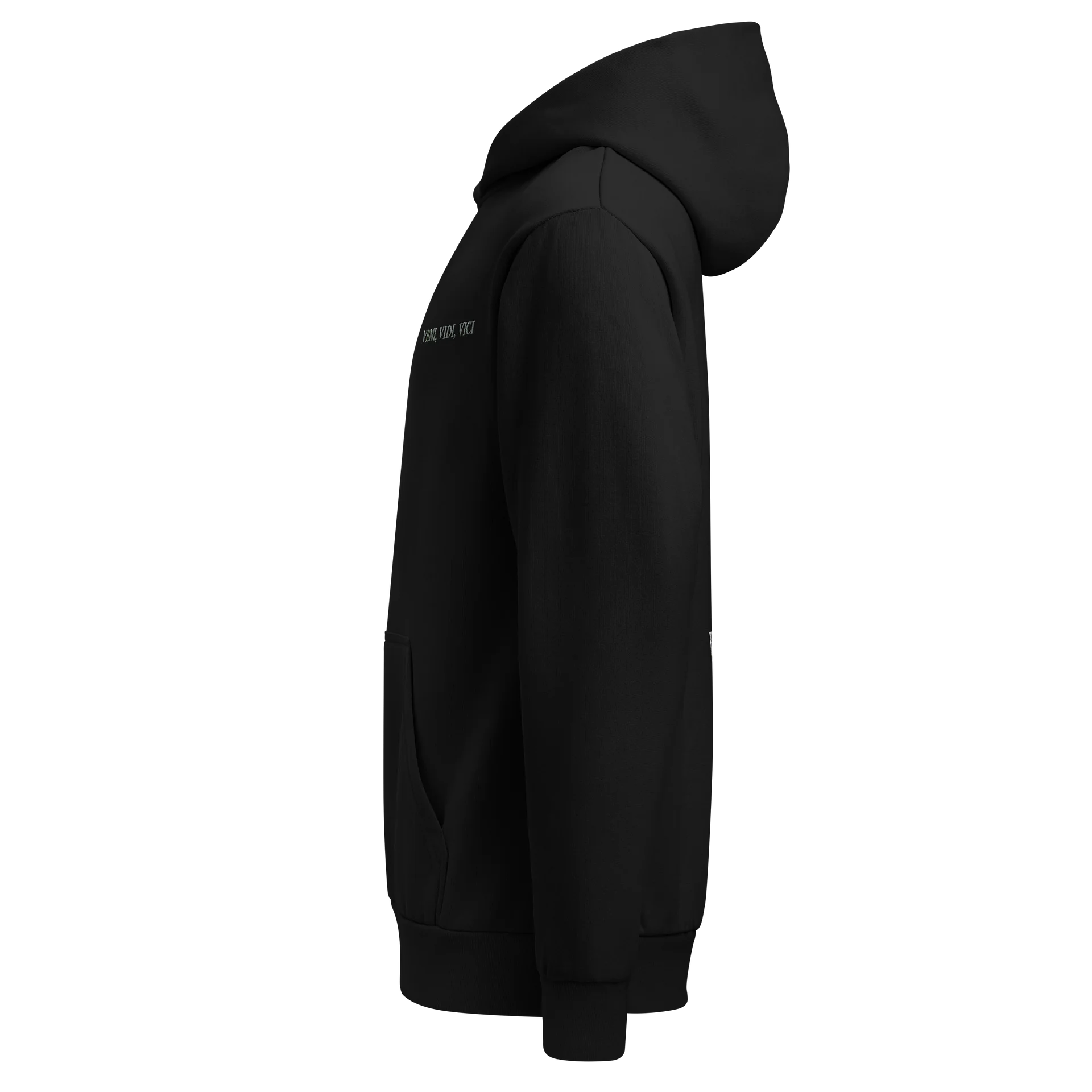 Veni, Vidi, Vici hoodie product image (3)