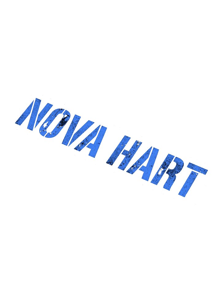 Stencil Logo Sticker (Large -15″ x 3.75″) product image (1)