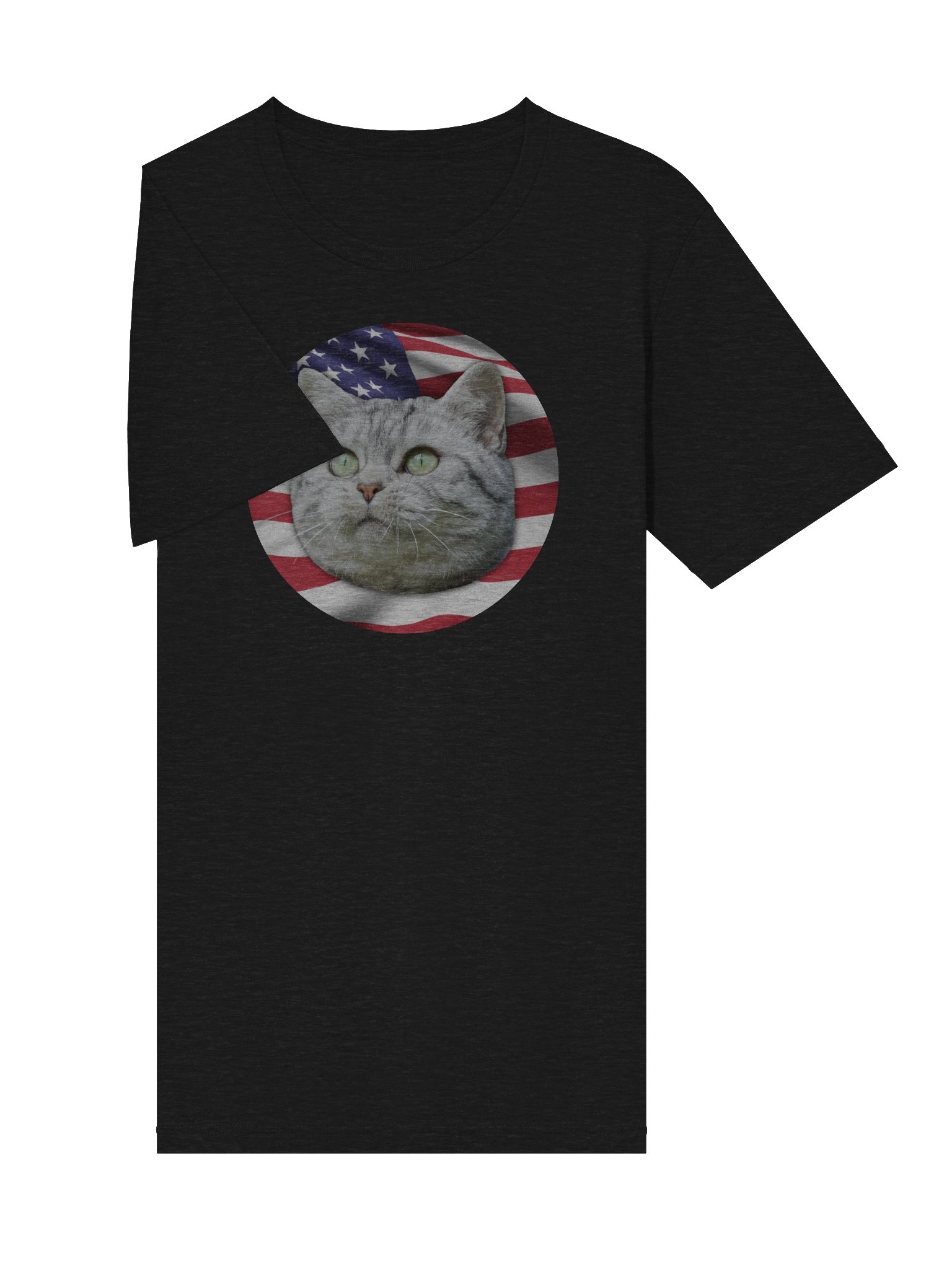 PATRIOTIC CAT LOGO (Triblend) product image (29)